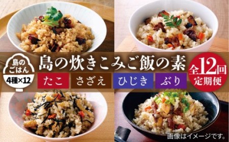 【全12回定期便】島の炊き込みご飯の素 炊き込みご飯 たき込みご飯 たこ さざえ ひじき ブリ セット 詰め合わせ 定期便 [JAH070] 132000 132000円