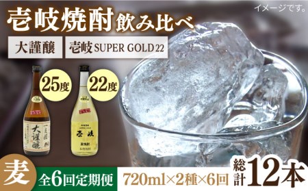 【全6回定期便】壱岐スーパーゴールド22度と合鴨農法米 大謹醸 [JDB241] 96000 96000円