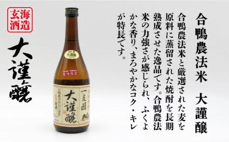 【全6回定期便】壱岐スーパーゴールド22度と合鴨農法米 大謹醸 [JDB241] 96000 96000円