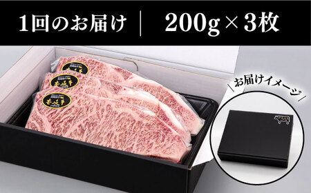 【全6回定期便】 A4ランク A5ランク 壱岐牛 サーロインステーキ 200g×3枚 《壱岐市》【壱岐市ふるさと商社】 [JAA018] 192000 192000円