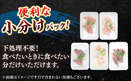 【全12回定期便】 【勝本漁港直送】壱岐島の刺身盛りセット ≪壱岐市≫【あかりや】 冷凍配送 刺身 小分け 産地直送 132000円 お刺身 刺し身 寿司 海鮮 [JFO008]