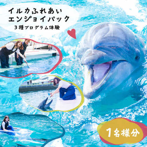 イルカふれあいエンジョイパック 1名様分 [JBF033]  長崎県 長崎 壱岐市 壱岐 体験 アクティビティ 30000 30000円 3万円