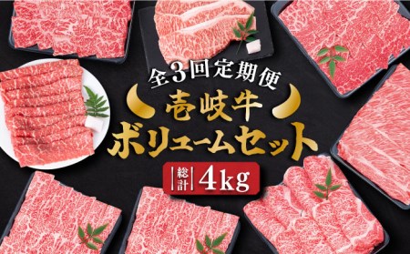 ふるさと納税 長崎県 壱岐市 【全3回定期便】 壱岐牛ボリュームセット