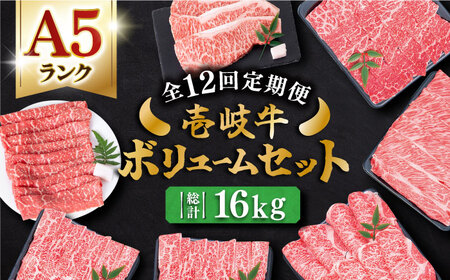 【全12回定期便】 壱岐牛 ボリュームセット 約16kg 《壱岐市》【土肥増商店】 長崎 壱岐産 黒毛和牛 牛肉 ステーキ しゃぶしゃぶ 食べ比べ [JDD032]