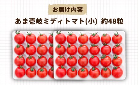 あま壱岐 ミディトマト 約48粒 《壱岐市》【壱岐の潮風】 [JAE009] トマト ミディトマト 野菜 ギフト プレゼント 贈り物 14000 14000円 1万円