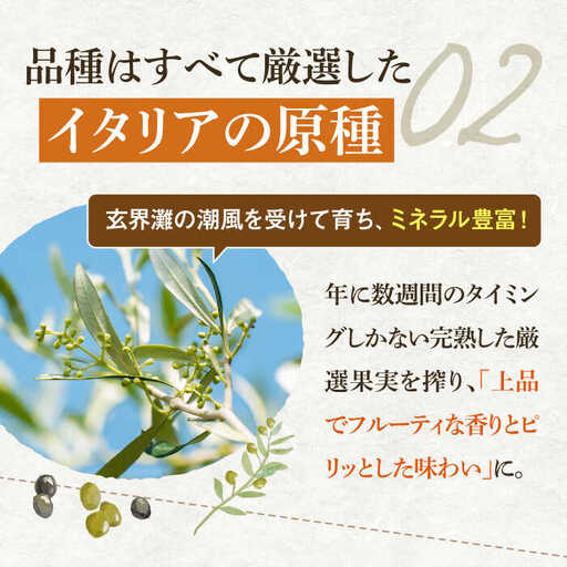 【全12回定期便】【行列のできる法律相談所で紹介！】壱岐産 エクストラバージンオリーブオイル「バル」（100ml） [JDU018] 240000 240000円 オリーブ オリーブオイル オイル