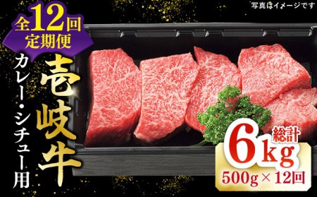 【全12回定期便】 特選 壱岐牛 すね肉 500g（カレー・シチュー用）《壱岐市》【太陽商事】[JDL084] 冷凍配送 黒毛和牛 A5ランク 肉 牛肉 黒毛和牛 ブランド牛 カレー シチュー 赤身 チマキ 煮込み ブロック 156000 156000円 九州