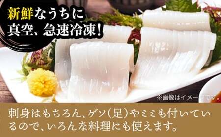 スルメ 刺身用 （生食用）3杯  [JEW009] スルメ