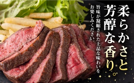 【全3回定期便】 壱岐牛 モモブロック 500g［化粧箱無し］《壱岐市》【株式会社イチヤマ】 肉 牛肉 モモ ブロック ステーキ BBQ [JFE023] 72000 72000円