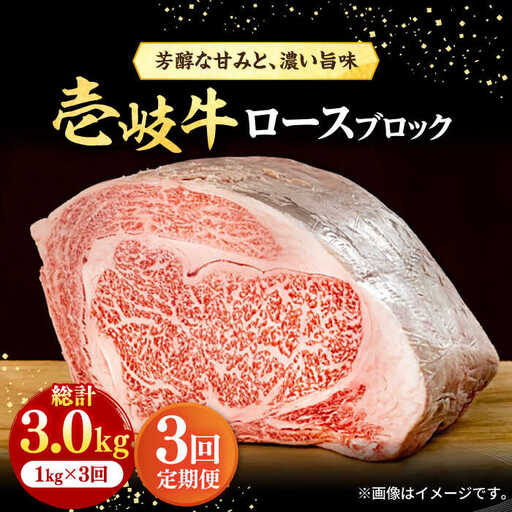 【全3回定期便】 壱岐牛 ロースブロック 1kg（500g×2枚）《壱岐市》【株式会社イチヤマ】 肉 牛肉 ブロック ステーキ BBQ [JFE026] 174000 174000円 11,100円