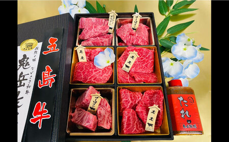 【日時指定必須】長崎和牛 五島牛 松花堂焼肉セットB（480g）五島市/鬼岳牧場[PEK034] 国産牛 牛肉 ブランド牛 セット