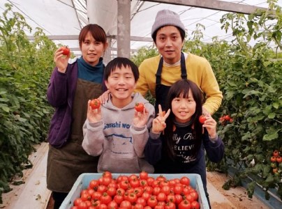 0231 野口とまと フルティカ 約2kg 【25pt】