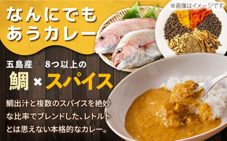 【お歳暮対象】ごとのカレー4種セット / カレー カレーライス レトルト 常温 五島市 / ごと [PBY029]