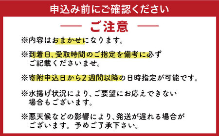 【五島列島直送】朝獲れ鮮魚セット6kg 五島市/鯛福丸水産[PDP012]   魚 鮮魚 セット 海鮮 直送 さかな 詰合せ 冷蔵