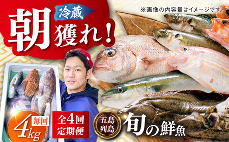【全4回定期便】【五島列島直送】朝獲れ鮮魚セット4kg 五島市/鯛福丸水産[PDP014]   魚 鮮魚 セット 海鮮 直送 さかな 詰合せ 冷蔵