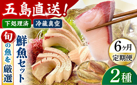 【6回定期便】【冷蔵】【下処理済】鮮魚ボックス2種 五島市/金沢鮮魚[PEP010] 金澤仕立て  鮮魚 冷蔵 真空パック 新鮮 下処理済み 海鮮 刺身 セット