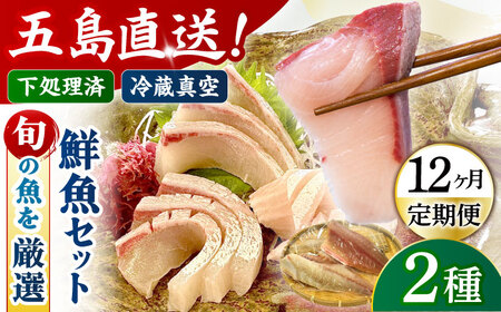 【12回定期便】【冷蔵】【下処理済】鮮魚ボックス2種 五島市/金沢鮮魚[PEP011] 金澤仕立て  鮮魚 冷蔵 真空パック 新鮮 下処理済み 海鮮 刺身 セット