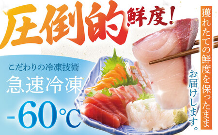 下処理済み 超速冷凍 鮮魚 5種  [PEP018] 鮮魚 鮮魚 鮮魚 鮮魚 鮮魚
