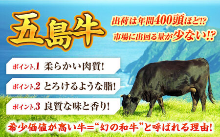 五島牛ヒレ 250g×2枚 牛肉 国産 希少 五島市/ごとう農業協同組合 [PAF032]