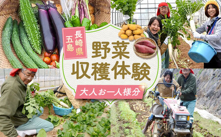 旬野菜の収穫体験 お土産の特典付 大人1人分 五島市/株式会社五島のやぁしゃ便 [PBG006]  野菜 やさい 収穫 体験