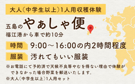 旬野菜の収穫体験 お土産の特典付 大人1人分 五島市/株式会社五島のやぁしゃ便 [PBG006]  野菜 やさい 収穫 体験