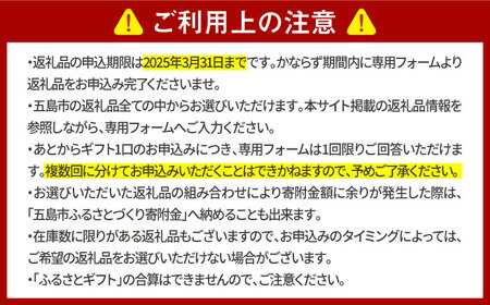 【あとから選べる】長崎県五島市ふるさとギフト 10万円分 和牛 魚 鮮魚 椿 うどん [PZX017]