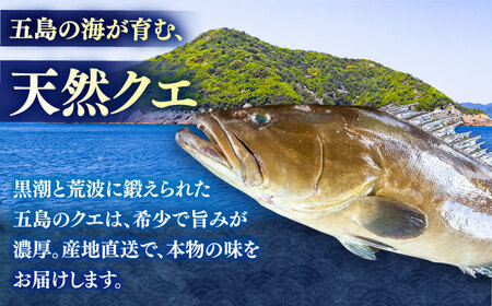 クエ鍋用クエパック500g×2 五島市/金沢鮮魚[PEP024]クエ くえ 鍋 お鍋 冬 高級 贅沢