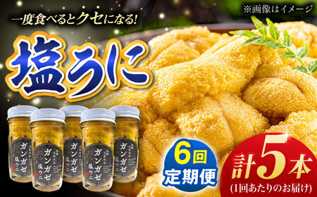 【全6回定期便】厄介うに ガンガゼ塩うに 70g×5本 / ウニ 雲丹 五島市 / うた丸[PGA007]