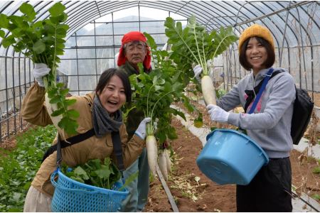 0132 五島の旬野菜セット 【30pt】