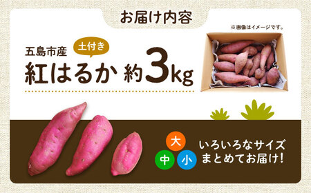 【2025年10月より発送】島の元気なさつまいも!ねっとり甘い『紅はるか』3kg 五島市/あわたに農園[PGO001]