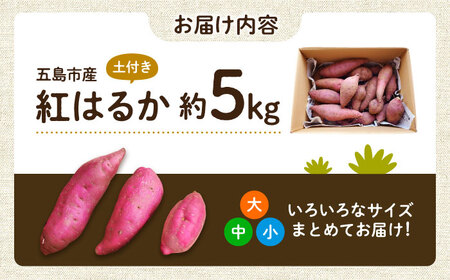 【2025年10月より発送】島の元気なさつまいも!ねっとり甘い『紅はるか』5kg 五島市/あわたに農園[PGO002]