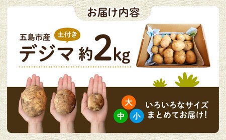 【2025年12月より発送】島の元気なじゃがいも!旨味抜群の『デジマ』2kg 五島市/あわたに農園[PGO003]