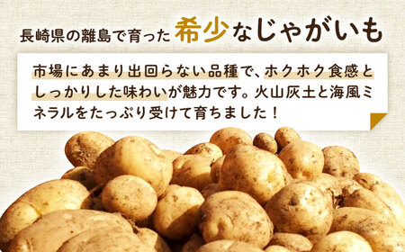 【2025年12月より発送】島の元気なじゃがいも!旨味抜群の『デジマ』5kg 五島市/あわたに農園[PGO004]