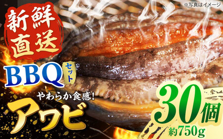 【日付指定必須】五島産養殖 アワビ・バーベキューセット 30個セット 約750g 五島市/（有）都工業 BBQ あわび 鮑[PEX007]