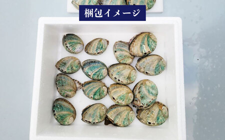 【日付指定必須】五島産養殖 アワビ・バーベキューセット 40個セット 約1200g 五島市/（有）都工業 BBQ あわび 鮑[PEX008]