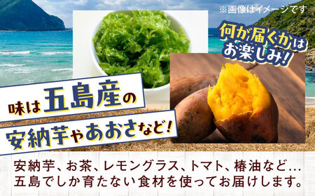 【6回定期便】まぼろし椿（マドレーヌ）6個入り ※味はおまかせ 五島市/uncalin[PGK015]