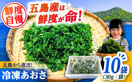 五島産あおさ　30g×10袋　五島市/真栄丸[PGR001]