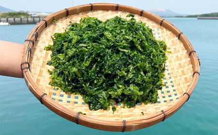 五島産あおさ　30g×10袋　五島市/真栄丸[PGR001]