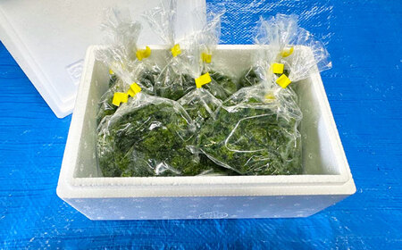 五島産あおさ　30g×10袋　五島市/真栄丸[PGR001]