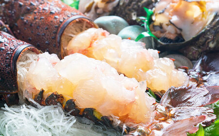 伊勢海老(活き) 500g　五島市/真栄丸[PGR002]