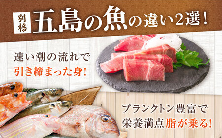 【超速冷凍】旬魚のゴトポキ5袋 五島市/金沢鮮魚[PEP025]セット