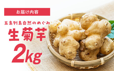 生キクイモ（菊芋）2kg 五島市/五島列島自然のめぐみ[PGM005]