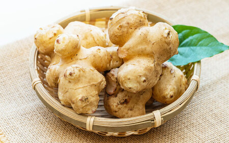 生キクイモ（菊芋）2kg 五島市/五島列島自然のめぐみ[PGM005]