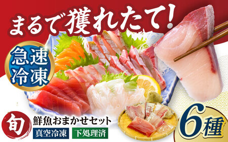 【下処理済】超速冷凍鮮魚6種（5種+焼物用1種） 五島市/金沢鮮魚[PEP064]魚 鮮魚 鮮魚ボックス