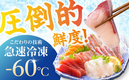 【下処理済】超速冷凍鮮魚6種（5種+焼物用1種） 五島市/金沢鮮魚[PEP064]魚 鮮魚 鮮魚ボックス