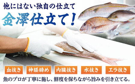 【下処理済】超速冷凍鮮魚6種（5種+焼物用1種） 五島市/金沢鮮魚[PEP064]魚 鮮魚 鮮魚ボックス