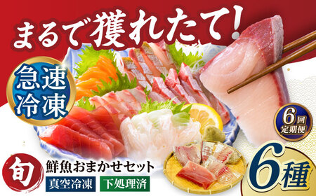 【6回定期便】【下処理済】超速冷凍鮮魚6種（5種+焼物用1種） 五島市/金沢鮮魚[PEP066]魚 鮮魚 鮮魚ボックス