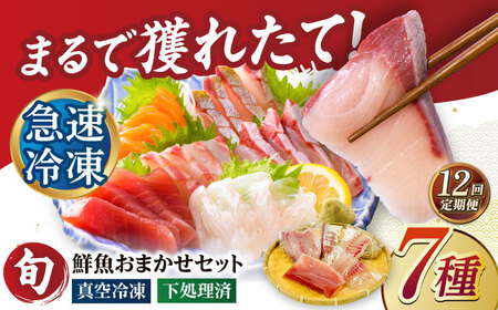 【12回定期便】【下処理済】超速冷凍鮮魚7種（5種+焼物用2種）五島市/金沢鮮魚[PEP071]