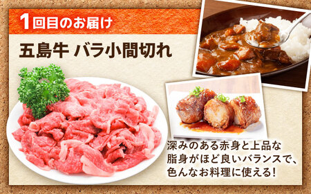 【3回定期便】食卓応援！お届け内容が毎月変わる五島牛定期便 五島市/ごとう農業協同組合[PAF105]