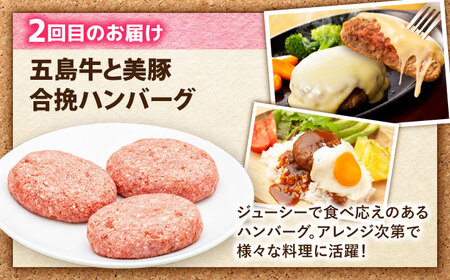 【3回定期便】食卓応援！お届け内容が毎月変わる五島牛定期便 五島市/ごとう農業協同組合[PAF105]